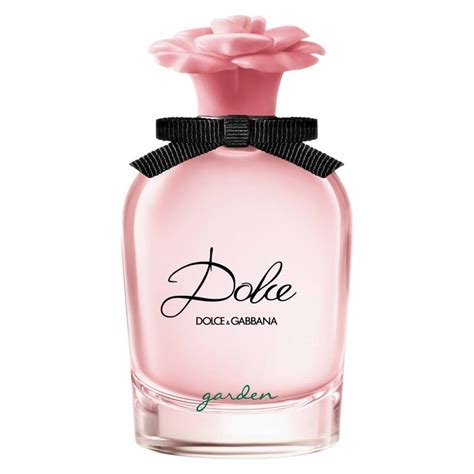 perfume dolce gabbana 25 ml